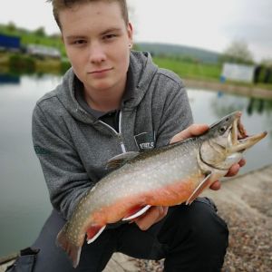 Profilbild