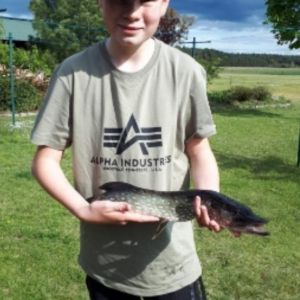 Profilbild