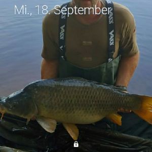 Profilbild