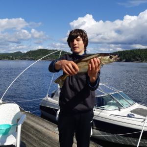 Profilbild