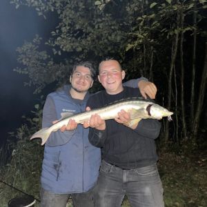 Profilbild