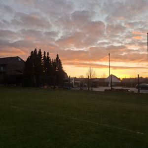 Matti_G