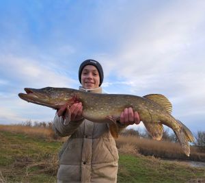 Ole Hansen1