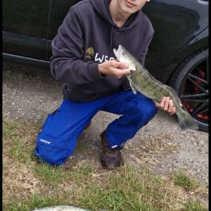 Profilbild