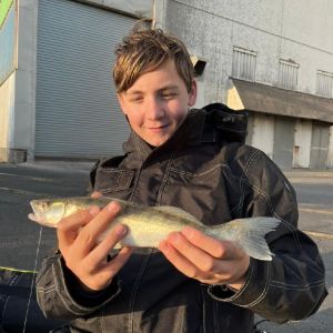 Profilbild