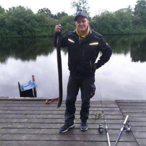 Profilbild