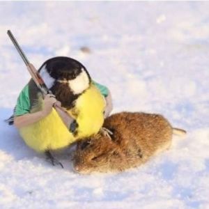 Profilbild