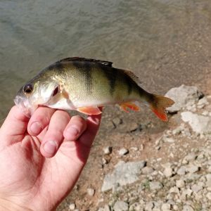 Alexander Hartenstein