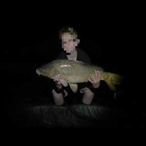 Profilbild
