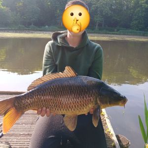 Profilbild