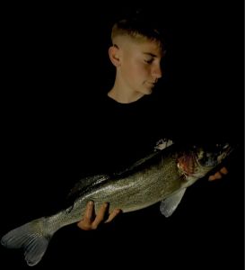 Profilbild