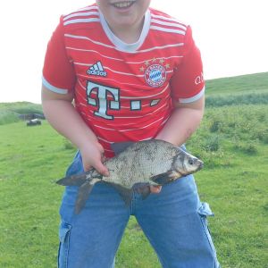 Profilbild