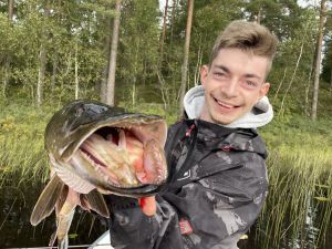 Profilbild