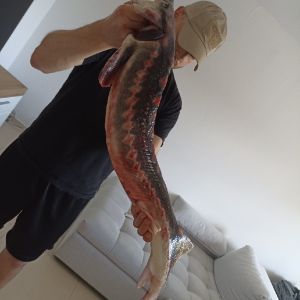 Profilbild