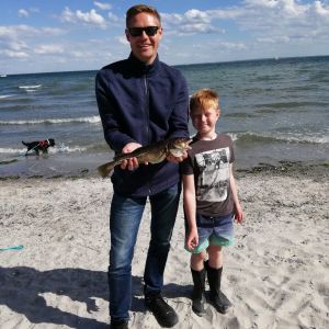 Profilbild