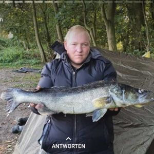 Profilbild