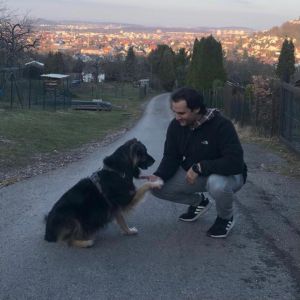 Danidino