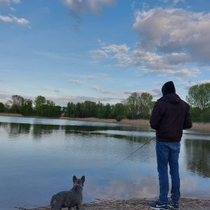 Profilbild