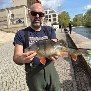 Profilbild