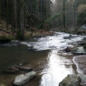 Profilbild