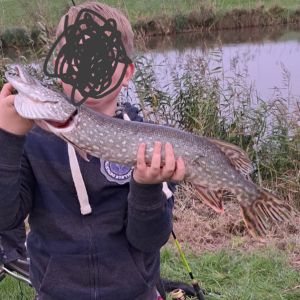 Profilbild