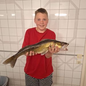 Profilbild