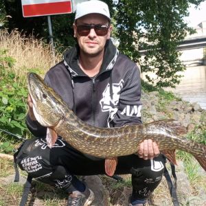Profilbild