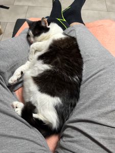 Profilbild