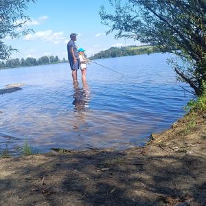 Profilbild