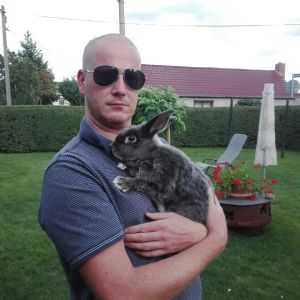 Profilbild