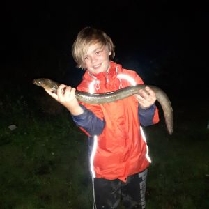 Niclas_207