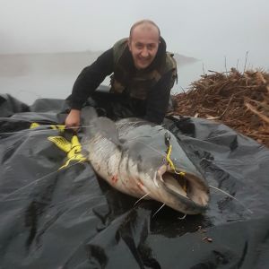Huntet_85