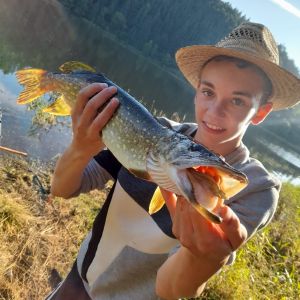 Profilbild