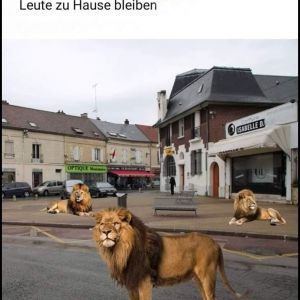 Profilbild
