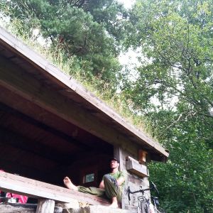 Profilbild