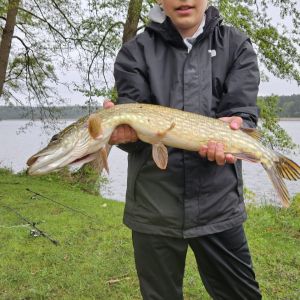 Profilbild
