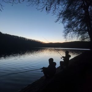 Profilbild