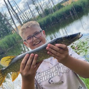 Profilbild
