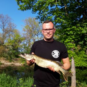 Profilbild