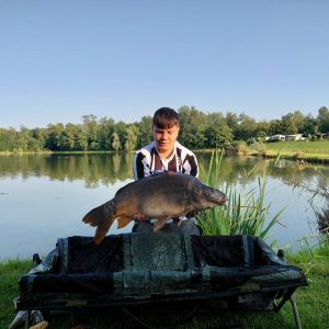 Profilbild