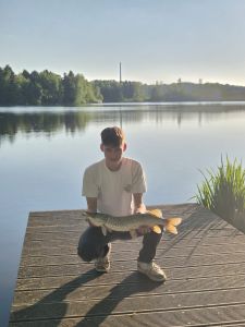 Profilbild