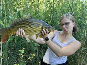Mariefish