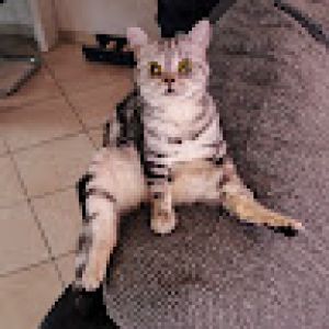 Profilbild