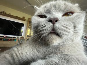 Profilbild