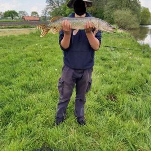 Profilbild