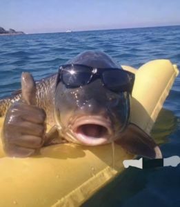 Profilbild