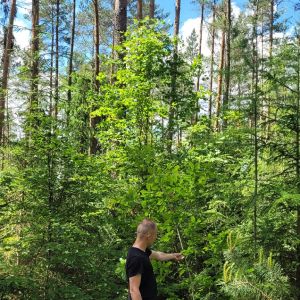 Profilbild