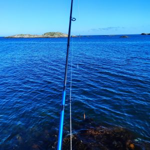 Sebastian_Fishing