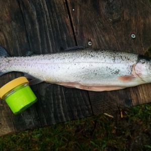 Thomas Fischer Profi