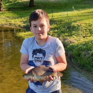 Profilbild
